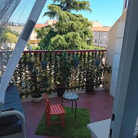 Zaira * Grosseto